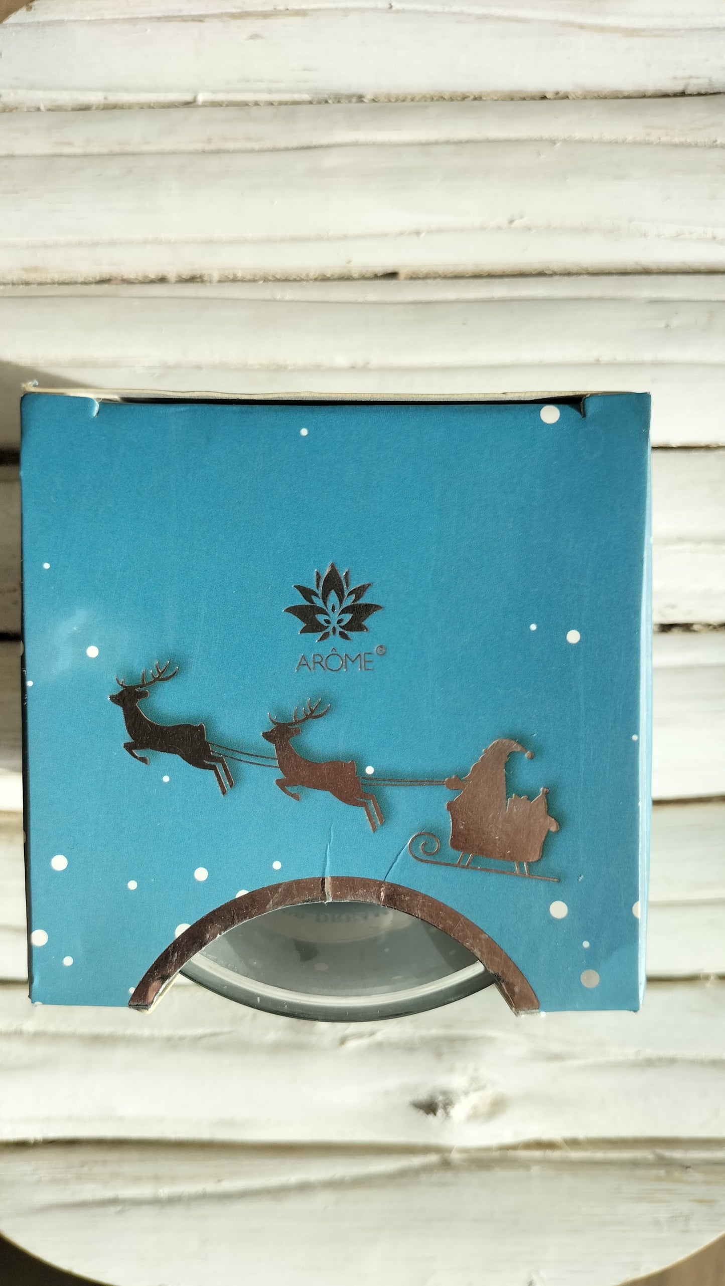 Winter Dream