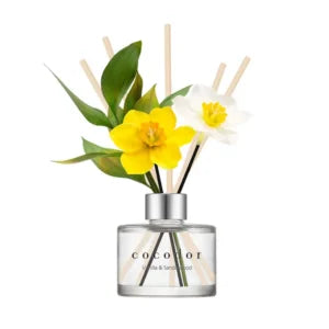 Home fragrance vaniglia e sandalo