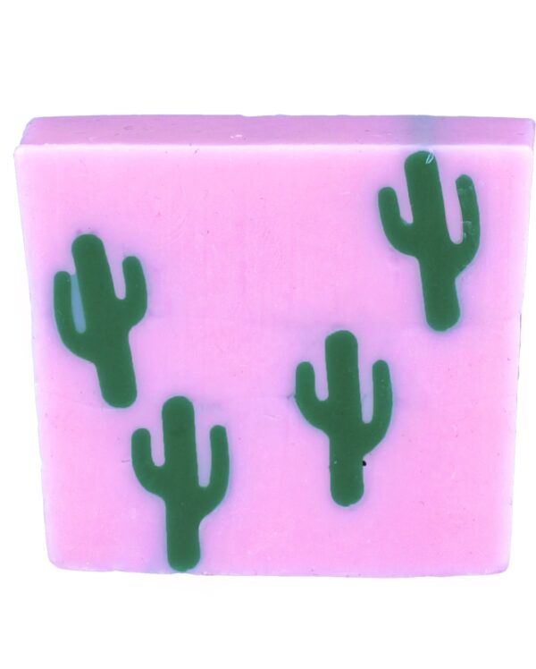 Sapone Cactus - immagine 2